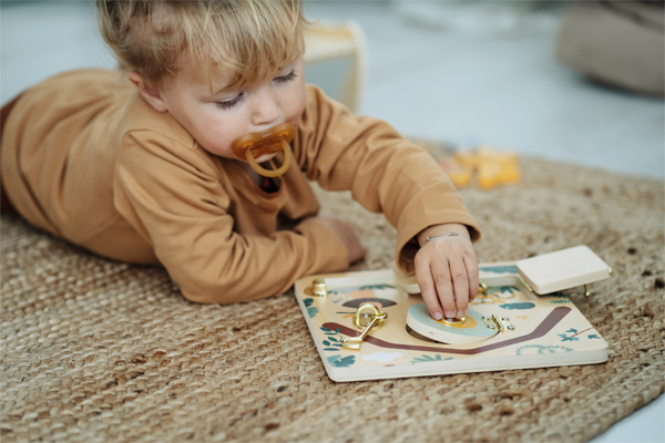 Safari Latches and Locks Motor Activity Board