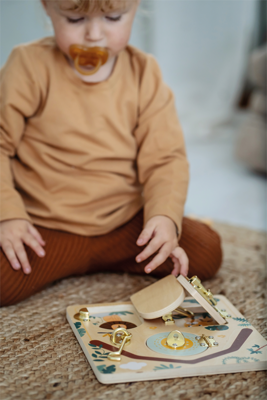 Safari Latches and Locks Motor Activity Board