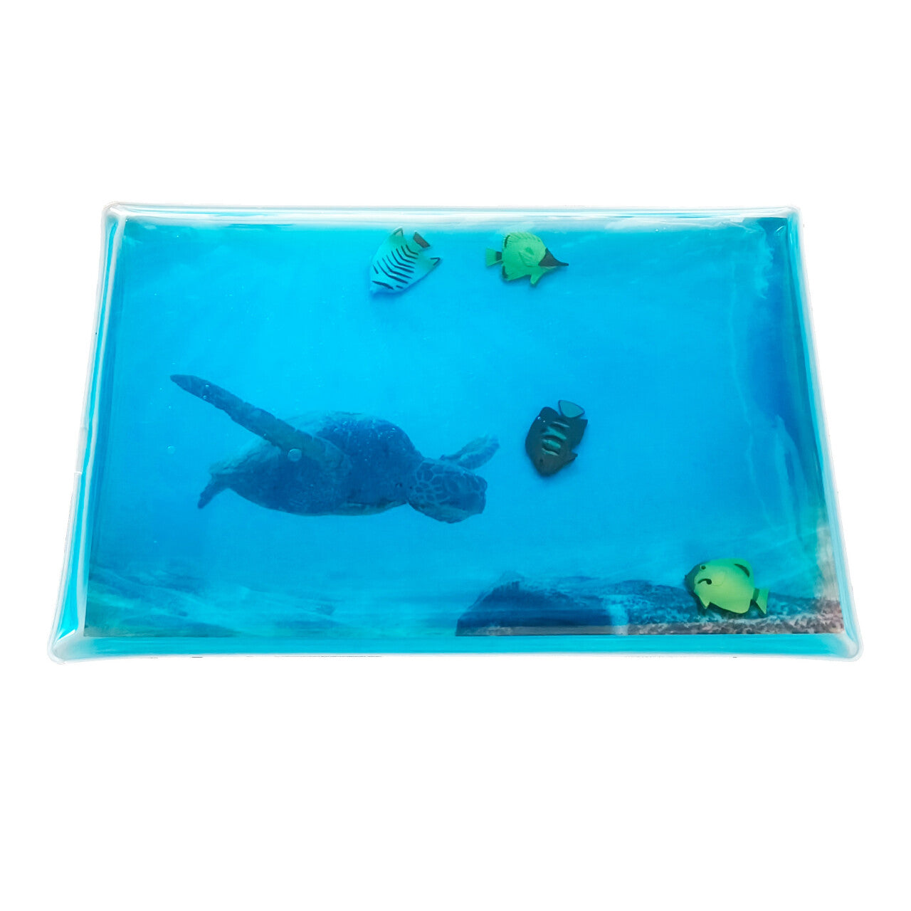 Gelly Fishy Play Pad