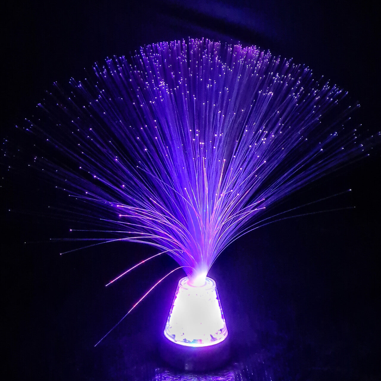 LED Fibre Optic Plume 