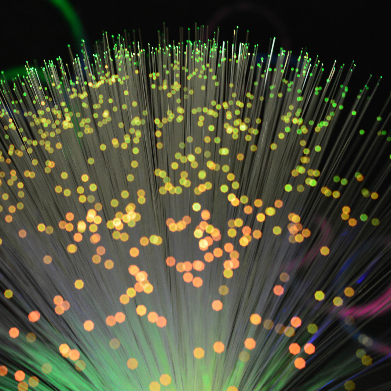 LED Fibre Optic Plume 