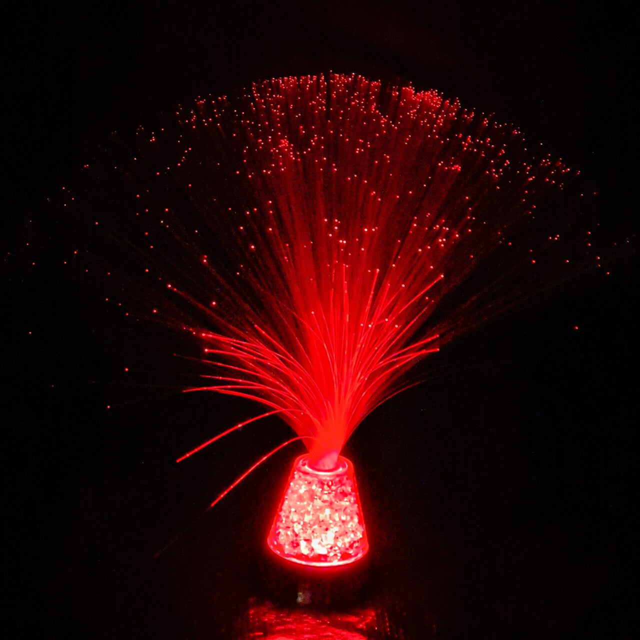 LED Fibre Optic Plume 