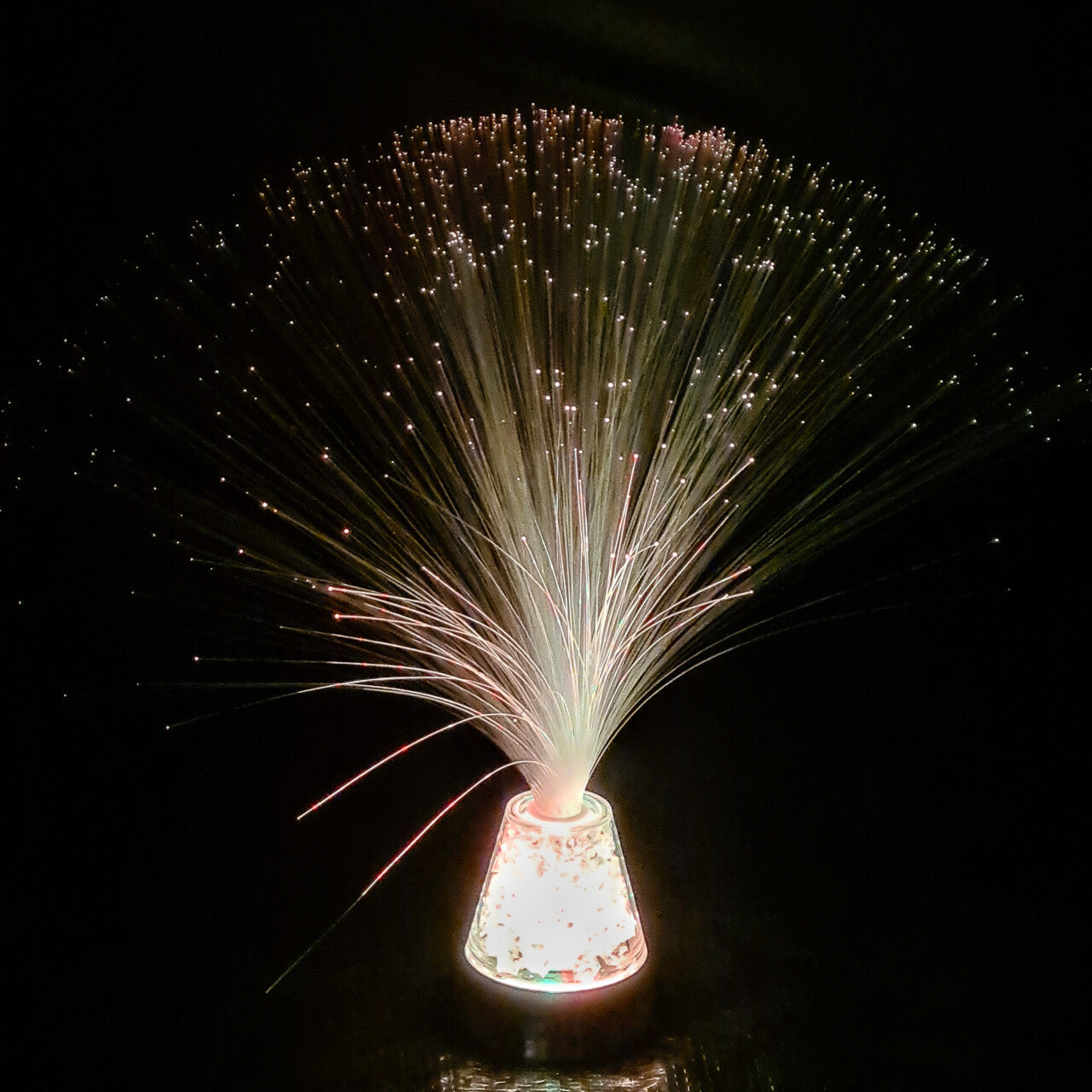 LED Fibre Optic Plume 