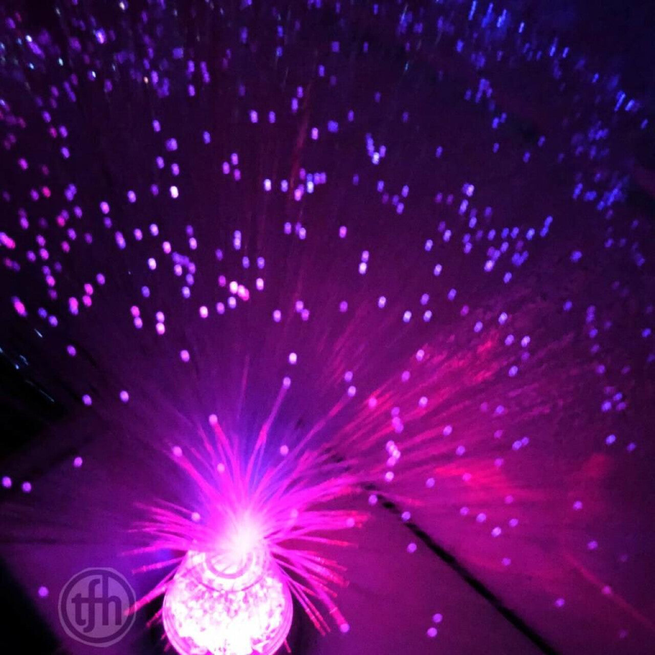 LED Fibre Optic Plume 