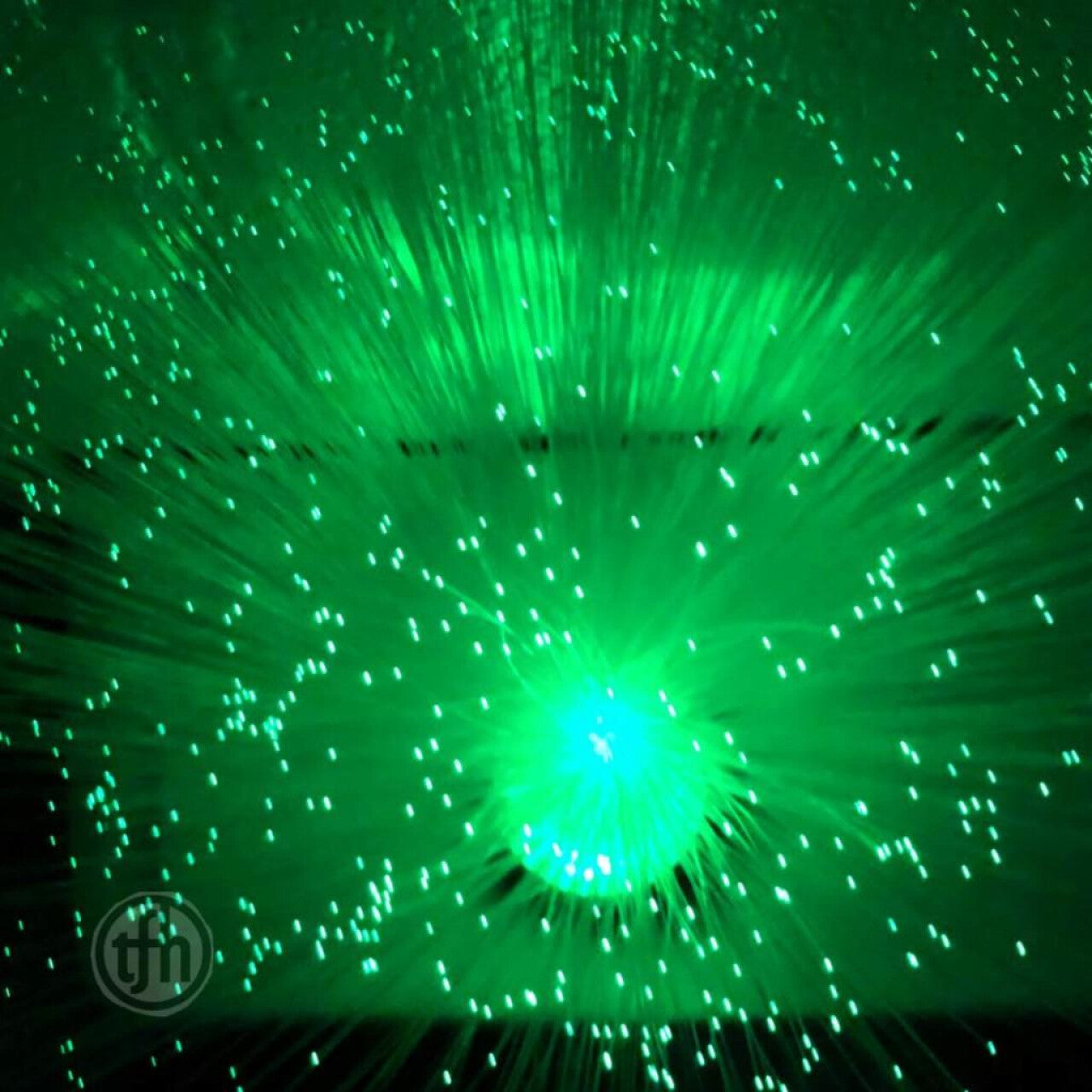 LED Fibre Optic Plume 